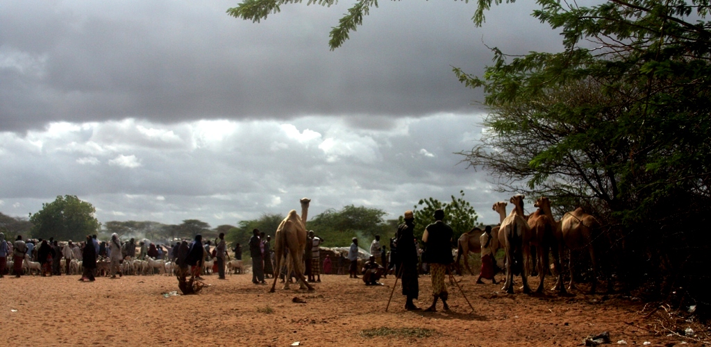 Pastori - Herdsmen