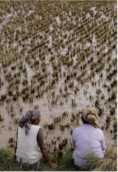 Israele in Africa